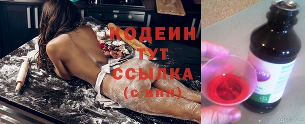 хмурый Надым
