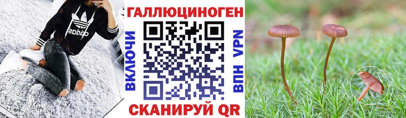 Псилоцибиновые грибы Psilocybine cubensis Россошь