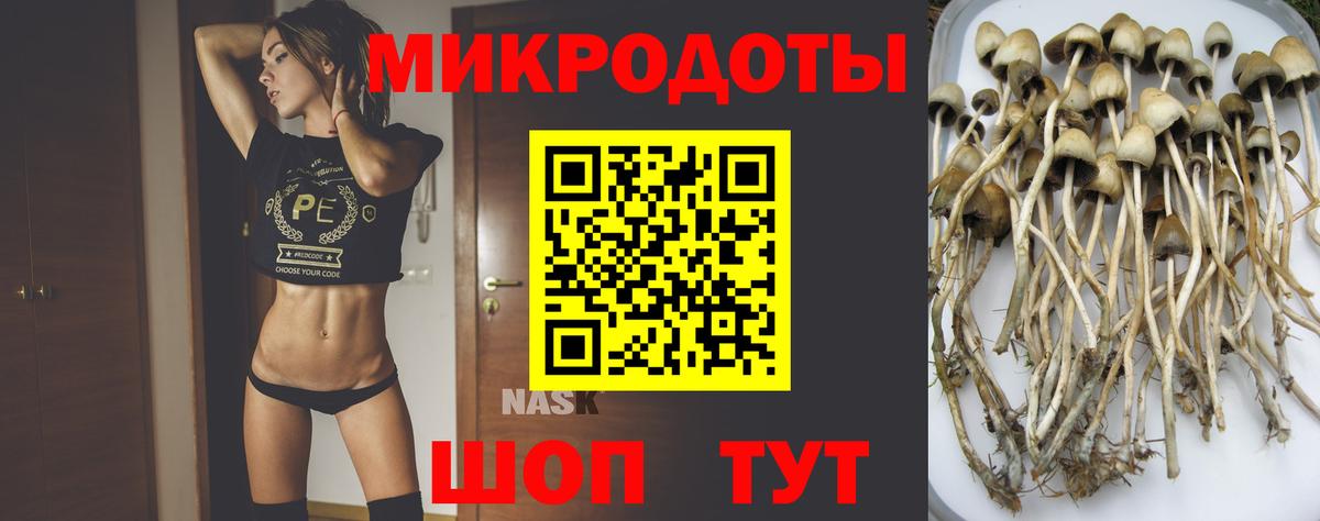 Галлюциногенные грибы прущие грибы Россошь