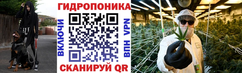 даркнет сайт  Россошь  Шишки марихуана OG Kush 